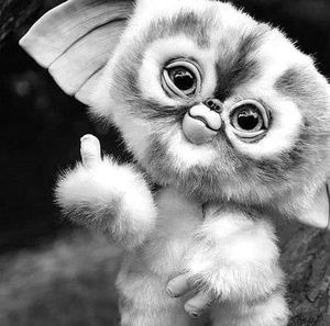 Meet your Posher, Kenny